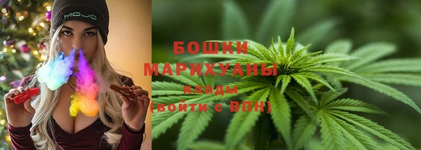 винт Инсар
