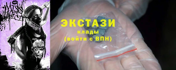 дмт Инта