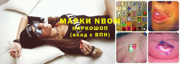 герыч Каменногорск