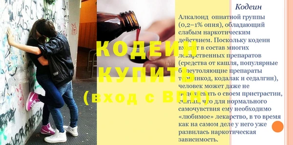дмт Инта