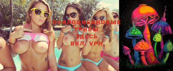 дмт Инта
