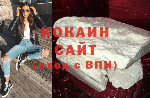 дмт Инта