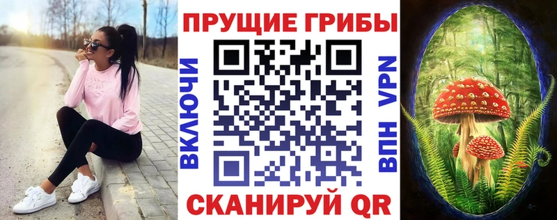 Псилоцибиновые грибы Cubensis  где найти   Ухта 
